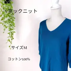 Item thumbnail for item d2b9d912-0d97-49b5-9afe-1c46b1b65d96