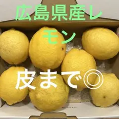 【国産】広島レモン 7コ、入り 1273gのサムネイル
