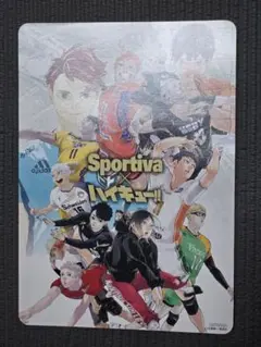 ハイキュー Sportiva アニメイト特典 B5 ビジュアルボード