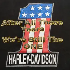 ハーレーダビッドソン アメリカ製　ヴィンテージ hanes beefy t製