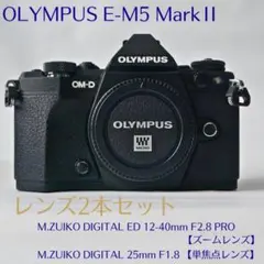 2025年最新】om-d e-m5 mark iiの人気アイテム - メルカリ