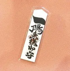 Item thumbnail for item 6ab68744-d2ae-41ae-9d66-aa11e1beb250