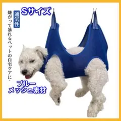 Item thumbnail for item 5229220c-49cd-4b92-864a-1ff17ada0399