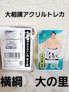 大相撲 アクリルトレカ キーホルダー 大の里泰輝