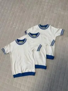 Item thumbnail for item 4a14b248-4e42-4632-93d5-fd6827b0faca