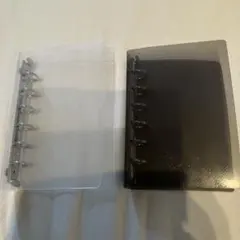 Item thumbnail for item d3816655-f683-418d-b200-6ccc72dcb09e