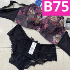 Item thumbnail for item 92118edd-808d-48ed-91cf-7586702f5d56