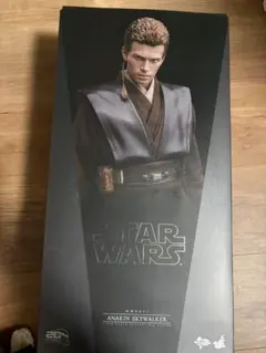 2026年最新】ホットトイズ アナキンの人気アイテム - メルカリ