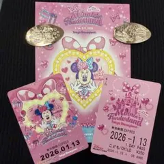 ディズニーリゾートラインフリーきっぷ期限切れスタンプラリースーベニアメダルセット