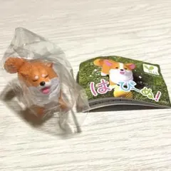 Item thumbnail for item 256bf768-d9df-41d0-8cbc-e5659b8fa96d