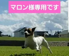 ♡マロン様専用です♡