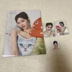 TWICE 2025 Collector サナ トレカ