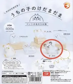 うちの子のけだまだま　チワワ