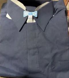 Item thumbnail for item c3be81c4-c355-402f-bc5d-8b195503ab41