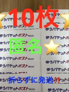 ゆうパケットポストmini 専用封筒 10枚セットその62