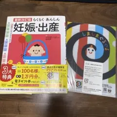 Item thumbnail for item 52966529-185f-42d8-b2f2-5943d38e704d