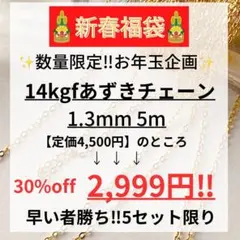 ぐーしゃー様 リクエスト 5点 まとめ商品
