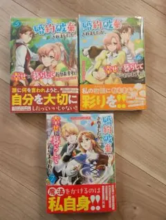 婚約破棄されましたが、幸せに暮らしておりますわ！アンソロジーセット