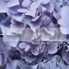 【お客様専用ページ】ぷぅ様　6/18までお取り置き可能