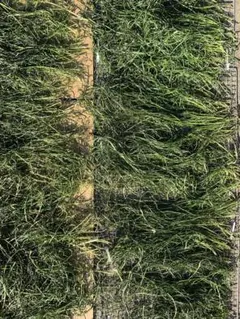 みゆ様 リクエスト 2点 まとめ商品