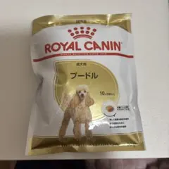 Item thumbnail for item 1d903677-e638-4815-8c64-cbda6d55c6e2