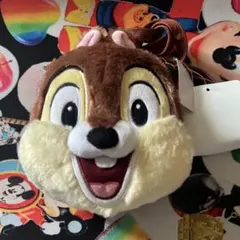 新品未使用 タグ付き ディズニーランド チップ ポシェット パスケース