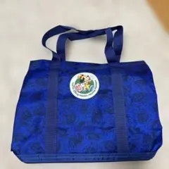 値下げ可東京ディズニーリゾート　バケーションパッケージ　レジャーシート付きバッグ