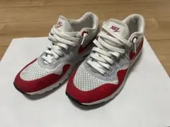 Nike WMNS AIR MAX 1 ULTRA FLYKNIT 25cm