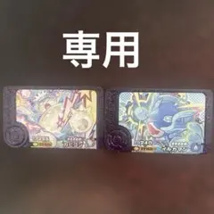 ポケモンフレンダセット　専用