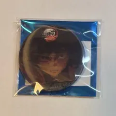 鬼滅の刃 冨岡義勇 水の呼吸 ランダムアクション アニメーション缶バッジ C