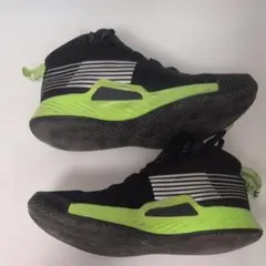 Item thumbnail for item 662262a2-26de-4c51-9946-e439e5ebadc2