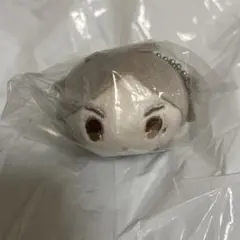 ハイキュー　もちマスミニ　菅原