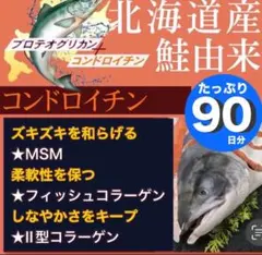 膝サポーターのお供に北海道産鮭由来プロテオグリカンコンドロイチン配合グリコサミン
