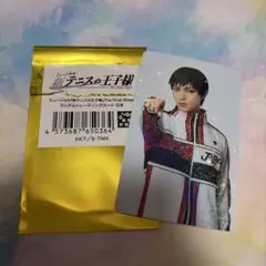 新テニミュ　ファイステ　トレカ　柳蓮二