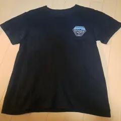 patagonia Tシャツ　スリムフィット S