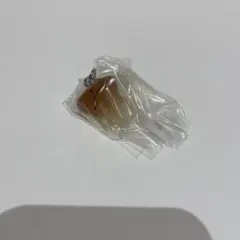 なめこ栽培キット　めじるしアクセサリー2