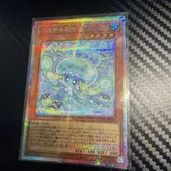 【即日発送可】マルチャミー・プルリア　プリシク
