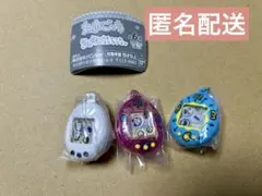 たまごっち　シャカシャカチャームコレクション　3点セット　匿名配送