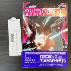 ストリートファイター ZERO 新装版