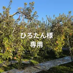 ひろたん様専用