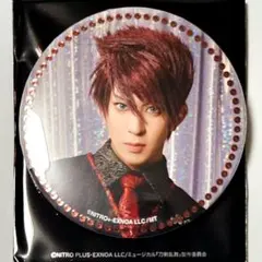 刀ミュ 十周年 祝賀祭 ドーム　大包平 松島勇之介　缶バッジ B ②