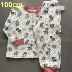 Item thumbnail for item 160af8c1-7af2-45ff-b5de-a96d7a570c10