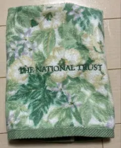 Item thumbnail for item 65c56326-8cc4-45c0-a3d6-23b0bc203591