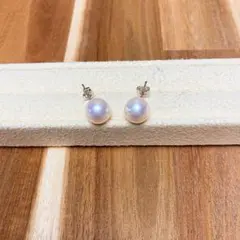 新品百貨店商品／総本店】2328天女級アコヤ真珠WGイヤリング希少サイズ