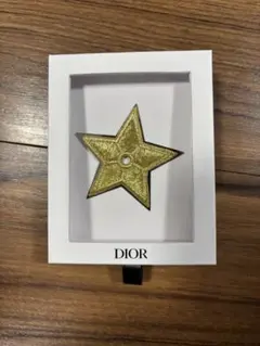 Dior ゴールド ブローチ 新品未使用