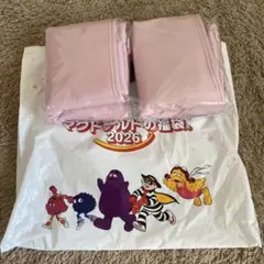 マクドナルド　福袋　ビッグな保温・保冷バッグ　２個セット