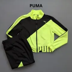 ま*る様 【極美品】プーマ　トレーニングウェア　上下セットアップ　イエロー×ブラ