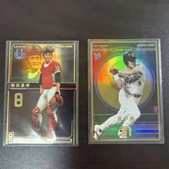 Item thumbnail for item 6024db51-ac1e-4694-a203-785fab3cf2a7