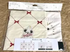 ディズニー　2024 リルリンリン　きんちゃく