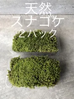 Ysh_sugawara69様 リクエスト 2点 まとめ商品